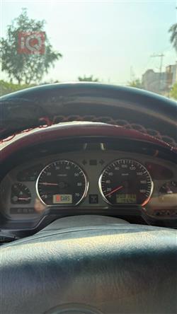 جريت وول دير